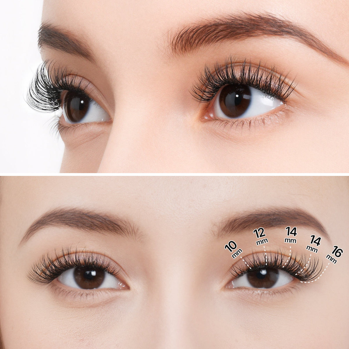 VeyesBeauty Aliva Cluster Lashes Kit